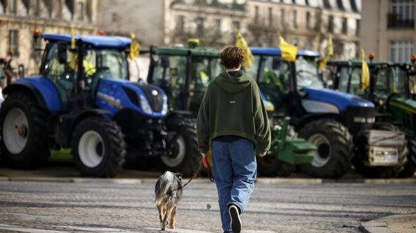 Протестующие французские фермеры прорвались на сельхозвыставку в Париже