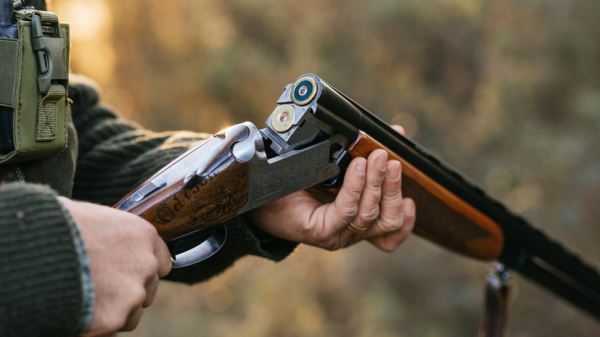 Во Франции осудили охотника, случайно подстрелившего туриста