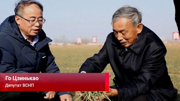 Китайский учёный и депутат Го Цзинькао знает, как повысить урожайность зерновых