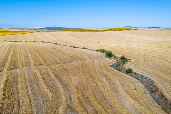 EDO: более 45% южной Европы пострадали от засухи с начала 2024 года