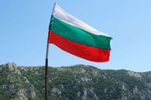 Sofia Globe: в Болгарии пресекли попытку проведения нацистского марша