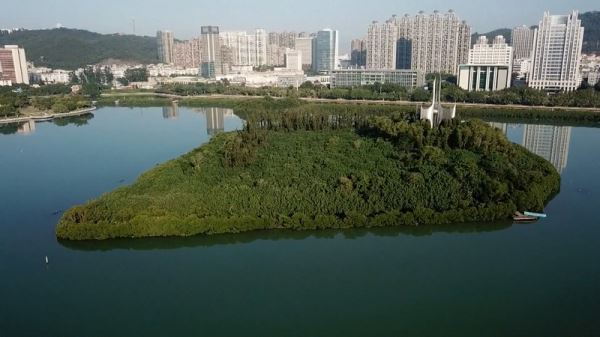 Восстановленное озеро Юньдан стало визитной карточкой города Сямэнь