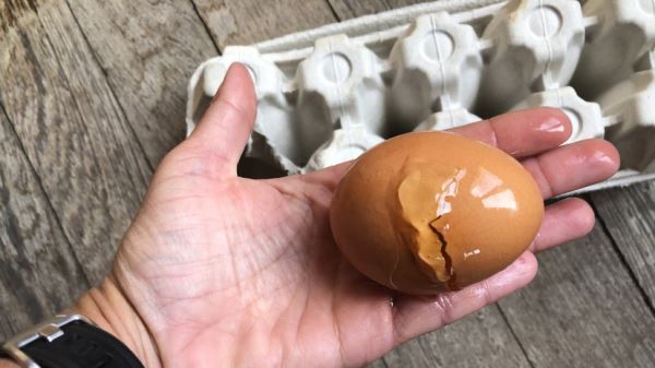 Европейских чиновников во Франции забросали яйцами